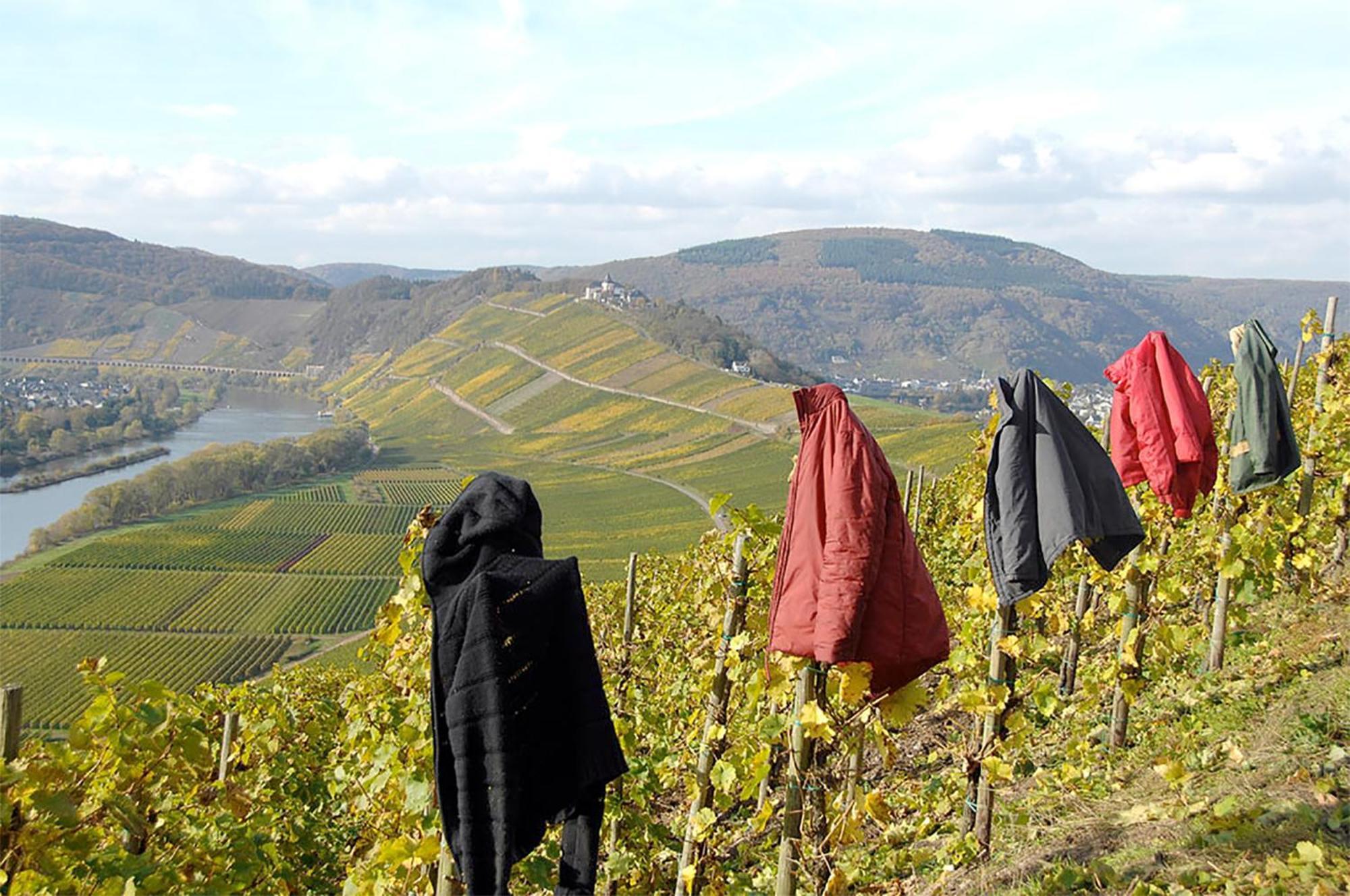 Апартаменты Weingut Rosenbaum Бридель Экстерьер фото
