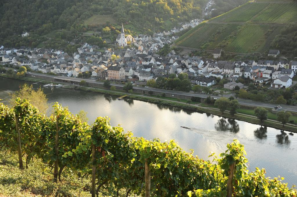 Апартаменты Weingut Rosenbaum Бридель Экстерьер фото